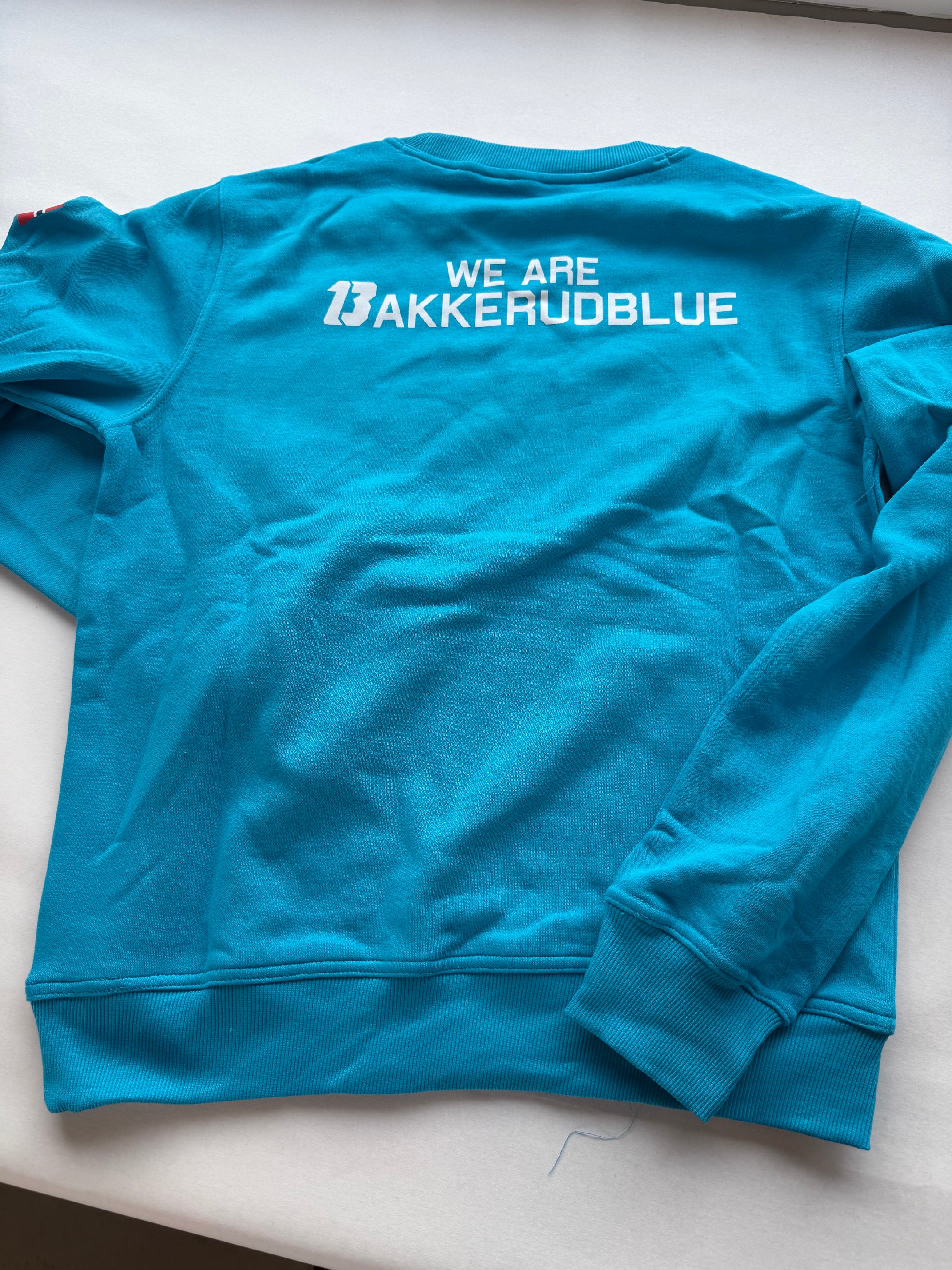 Bakkerud Blue Genser
